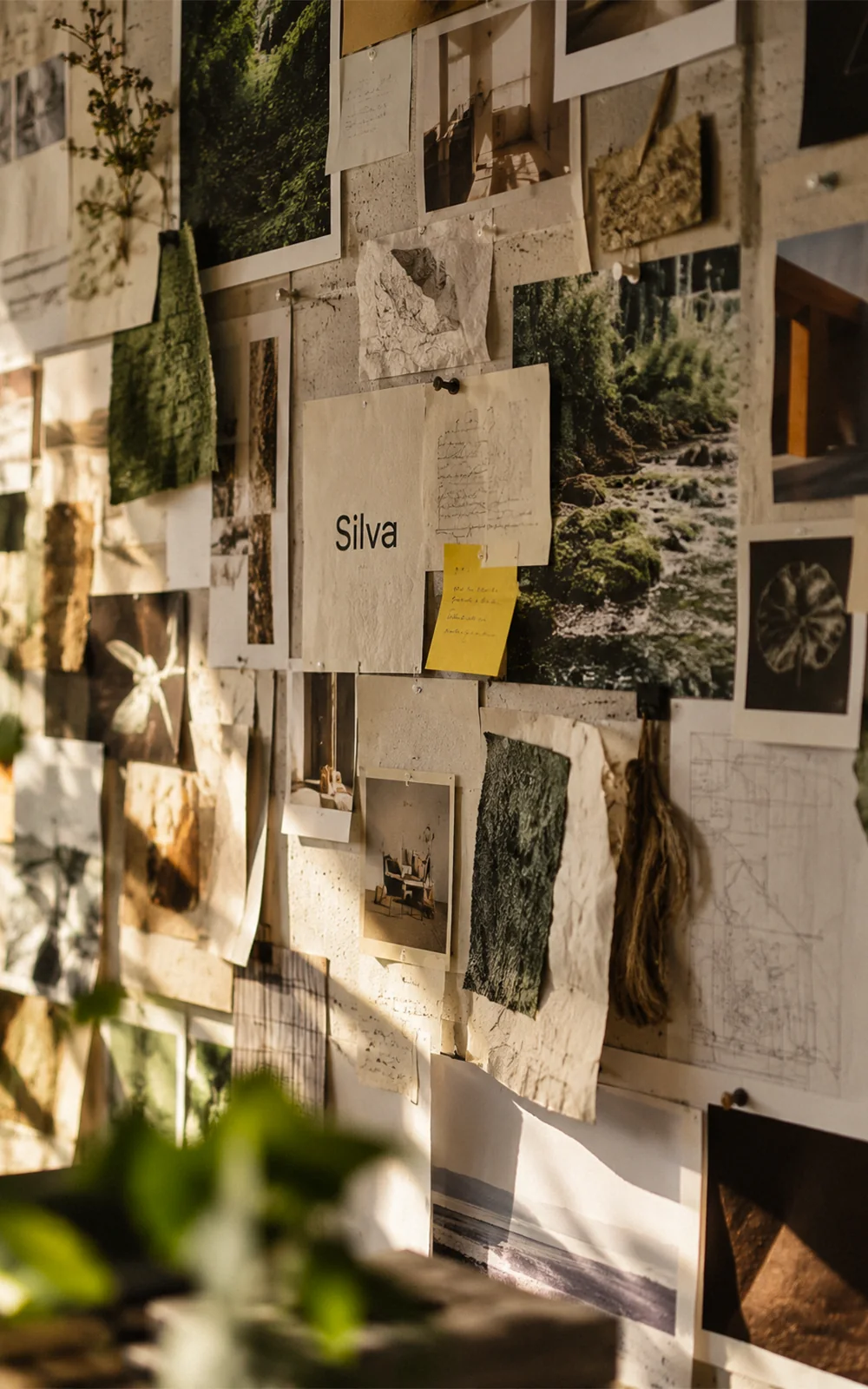 Silva Creative Works stüdyosunda doğa temalı ilham panosu